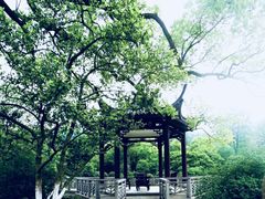 -杭州花家山庄