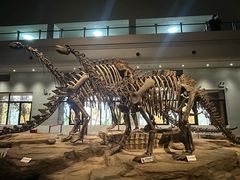 -自贡恐龙博物馆