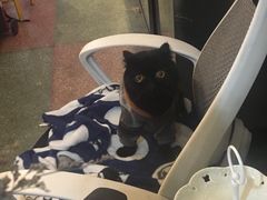 -怪兽咖啡 Monster Cafe