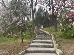 -北京世界公园