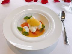 -蝶舍·MAISON PAPILLON