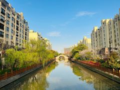 -高东镇樱花园