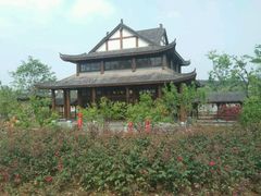 -杏花村文化旅游区