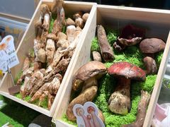 -菌自由丨野生菌火锅特色庭院餐厅(丽江古城店)