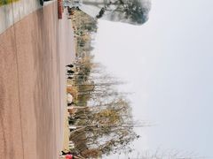 -桂溪生态公园