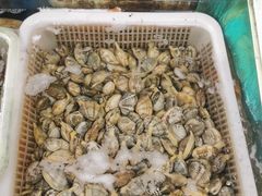 -公寓家常菜馆(海军博物馆店)