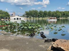 -长春市南湖公园