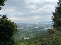 -鼎湖山风景区
