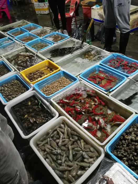 澳头海鲜市场图片 - 第45张