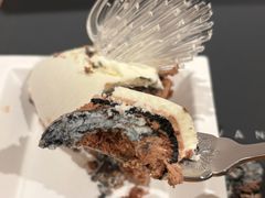 -BLACKSWAN黑天鹅(环球店)