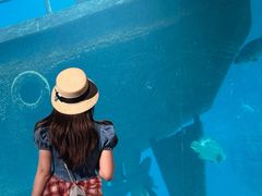 -福州罗源湾海洋世界旅游区