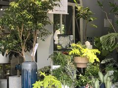 -弗劳尔花艺坊(龙涛店)