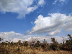 -眉山湿地公园(东坡区)