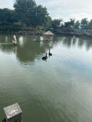 -玄武湖景区-情侣园游乐场