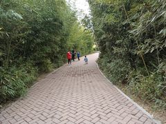 -郑州植物园