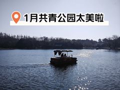 -上海共青森林公园