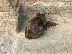-阿尔罕布拉宫