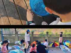 -重庆彩云湖湿地公园