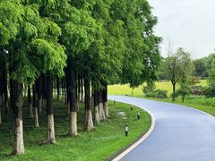 -宜兴龙背山森林公园