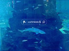 -鸿通城购物中心