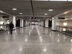 -杨高南路(地铁站)