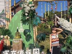 -西双版纳傣族园