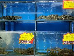 海鲜池-蚝专家(北滘店)