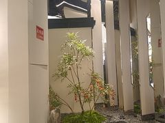 -假装苏杭·园林餐厅(陆家嘴中心店)