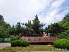 -济南森林公园