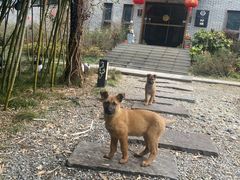 -村理食堂(小茅山脚店)