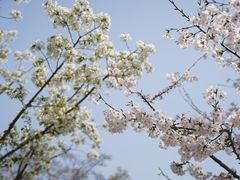 -龙美术馆(西岸馆)