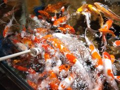 -太平洋海底世界