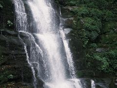 -中国大熊猫保护研究中心雅安碧峰峡基地