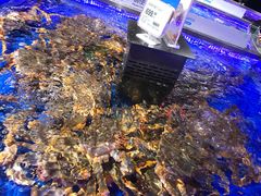 -盒马鲜生(莱蒙都会店)
