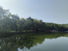 -南京市无想山景区