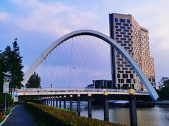 -陈家山荷花公园