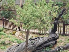 -草庵摩尼教遗址公园