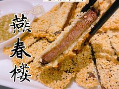 -燕春楼(海河华鼎店)