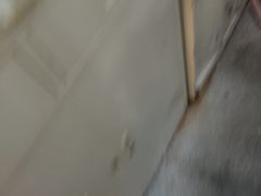 -湖锦酒楼·旗舰店(三阳总店)