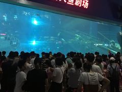 -福州罗源湾海洋世界旅游区