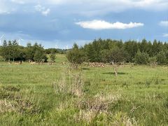 -塞罕坝国家级自然保护区