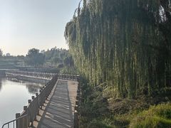 -西安浐灞国家湿地公园
