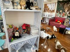 -汪说·狗咖·拼豆·宠物周边DIY(旺城大厦店)