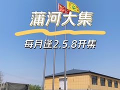 -蒲河大集