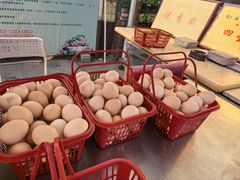 -大自然农场蔬菜草莓采摘园