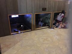 -纽斯桑拿会所(天山店)