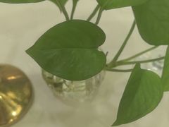 -上海精菜馆(虎踞关店)