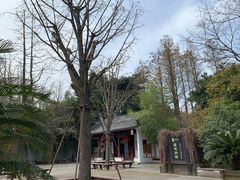 -汇龙潭