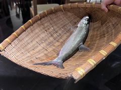 -宁波柏悦酒店·钱湖渔港