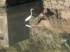 -江头公园